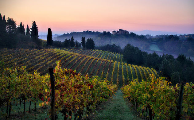 Good Morning, Tuscany! - Free image #400623