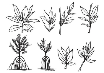 Free Hand Drawn Mangrove Vector - Kostenloses vector #406713
