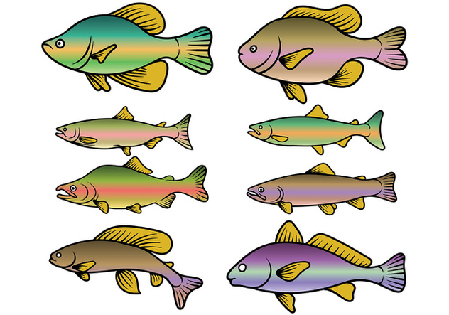 Rainbow Trout Fish Vector - бесплатный vector #408583