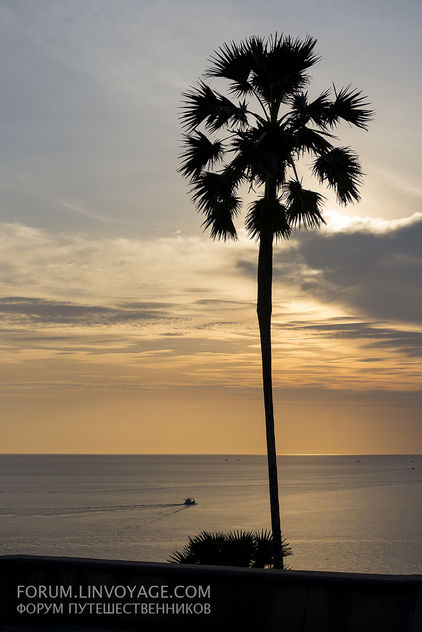 Sunset with fishing boats & palm. Phuket, cape Promthep - image gratuit #411353 