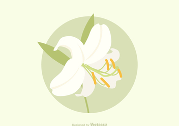 Free Easter Lily Vector - Kostenloses vector #411653
