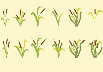Cattails Vector Icon - Free vector #413003