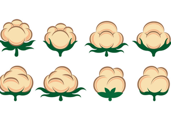 Vector Of Cotton Flowers - Free vector #413823