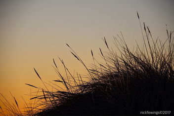 Sunrise Spectrum - бесплатный image #415253