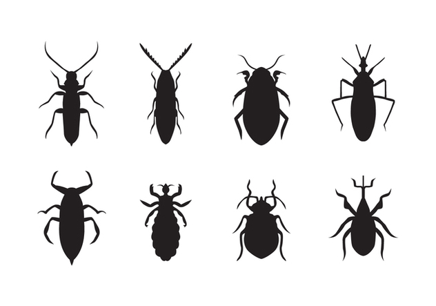 Free Bed Bug Vector - Free vector #415323