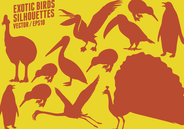 Exotic Birds Silhouettes - vector #418393 gratis
