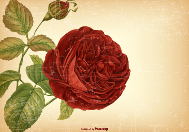 Vintage Rose Background - Kostenloses vector #422193