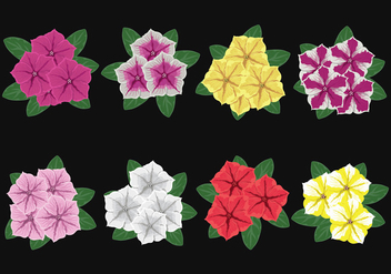 Petunia Flowers Vector - Free vector #422923