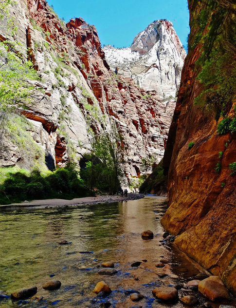 The Narrows, Virgin River, Zion NP 5-14 - Free image #427853