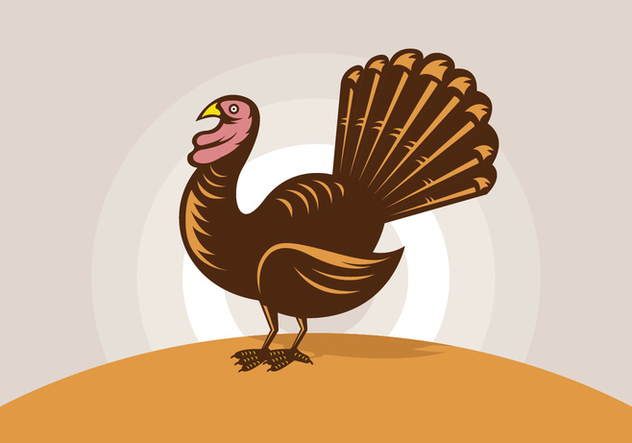 Wild turkey illustrations - Free vector #431733