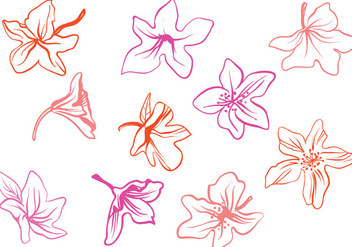 Free Rhododendron Vectors - бесплатный vector #433083