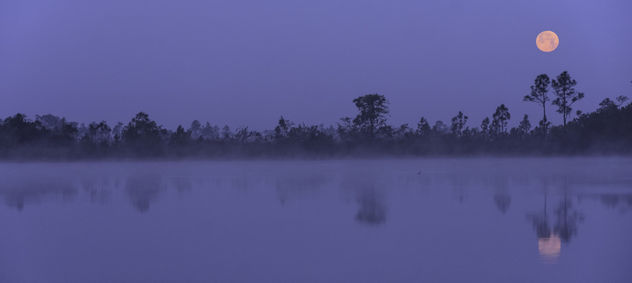 Moonset on a Foggy Morning - image #434553 gratis