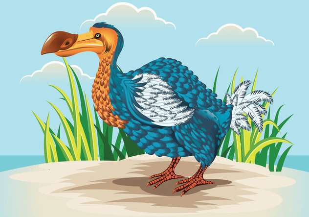 Cute Dodo Bird Illustration - Free vector #435373