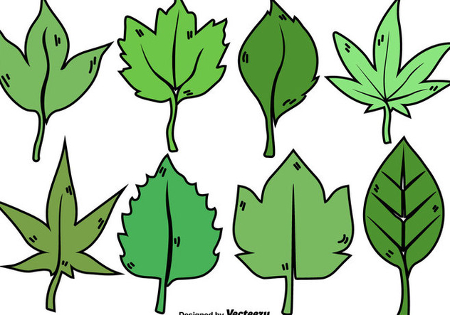 Cartoon Leaves Collection - Free vector #436203