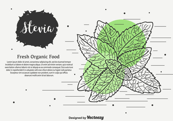 Hand Drawn Stevia Vector Background - Free vector #437633