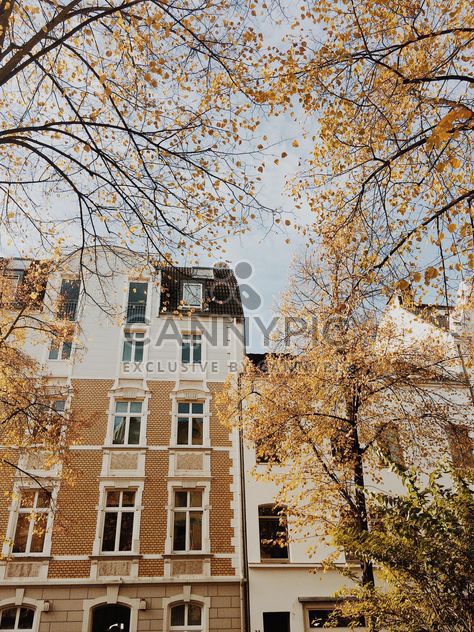 Autumn in the city - Free image #439243