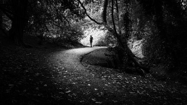 St. Anne's park - Dublin, Ireland - Black and white street photography - бесплатный image #446553