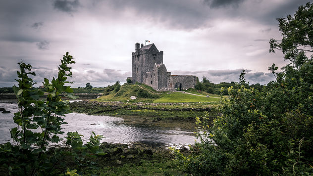 Dunguaire Castle - Kinvara, Ireland - Travel photography - image gratuit #447323 