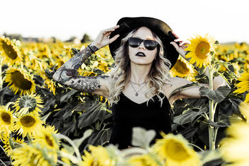 Sunflower Sam! - image gratuit #447493 
