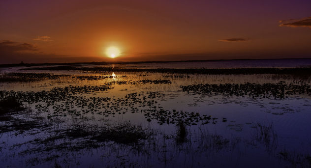 Lake Kissimmee Sunset - image gratuit #447563 