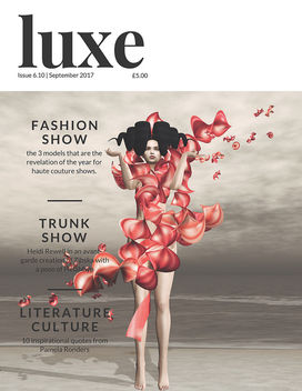 Editorial style of haute couture magazine - image #448793 gratis