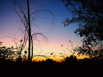 Un beau ciel d'automne. - бесплатный image #448993