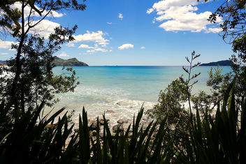 Pauanai Beach Visa, Coromandel NZ - Free image #451123