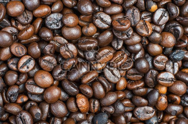 Coffee beans background - Free image #451933