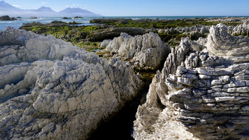 Coastline Kaikoura. NZ - image #454783 gratis