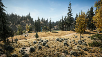 Far Cry 5 / The Hunt - Free image #455623