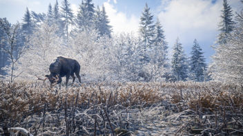 TheHunter: Call of the Wild / Dining Alone - image gratuit #455833 