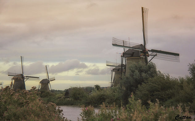 Holland - windmills of Kinderdijk - Kostenloses image #457673