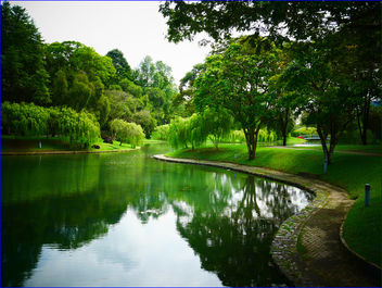 Bishan-AMK pond gardens - image #457743 gratis