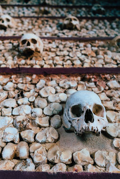 Wall decorated with skulls at Igreja do Carmo - image gratuit #457973 