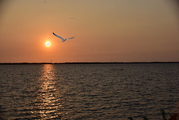 Sunset_Negombo_1 - image gratuit #460483 