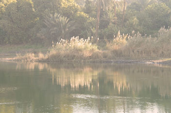 shimmering - River Nile, Egypt - Kostenloses image #462113
