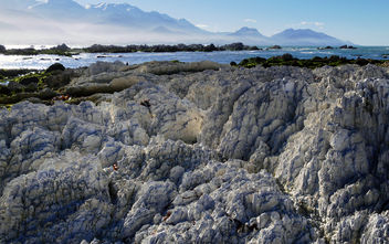 Kiakoura coastline. NZ - image #462803 gratis