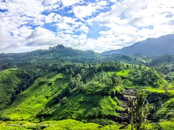 Kandy tea plantations, Kandy, Sri Lanka - Kostenloses image #463613