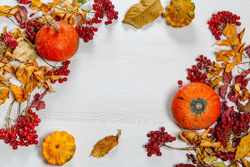 Autumn frame with colorful leaves, pumpkin and viburnum berries on a white wooden background - бесплатный image #464503
