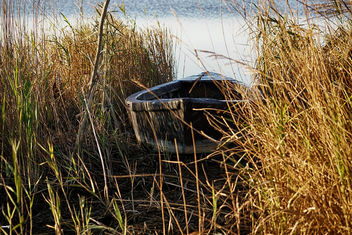 Barca escondida - Free image #467013