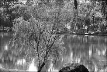 reflective lake - image #467343 gratis
