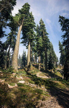 Far Cry 5 / High Trees - image gratuit #470793 