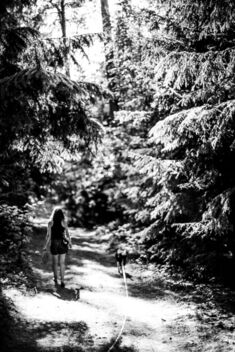 Dreaming of a forest walk - бесплатный image #471063