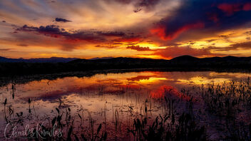 Sunrise over the Centennial Marsh pond - image #471313 gratis