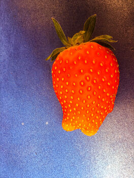 Homegrown strawberry - image gratuit #472083 