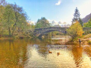 Lake District, Cumbria, England - Free image #474223