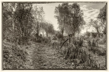 Morning Meadow - бесплатный image #476763