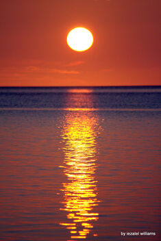 Contemplation at sunset IMG_0093-002 - image gratuit #478223 