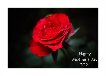 Flowers for Mother's Day 2021 - image gratuit #480373 