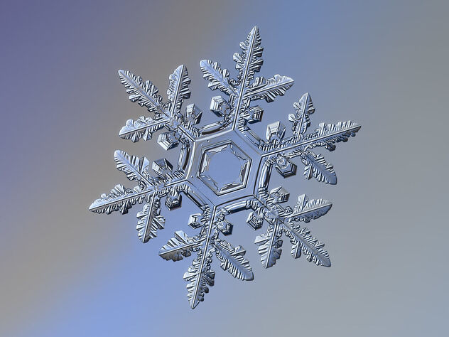 Snowflake - image #484083 gratis